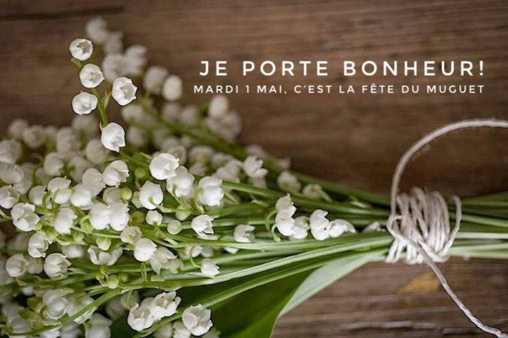 Fleuriot Fleurs Geneve News Le Muguet Fleur Du 1er Mai
